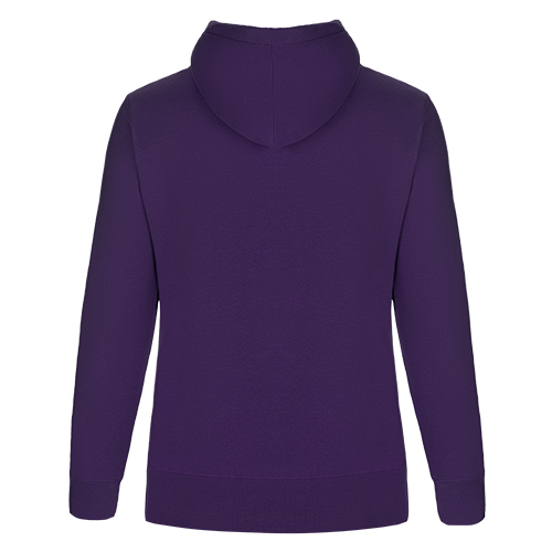 L00661 - Cedar Point - Ladies Pullover Hooded Sweatshirt